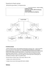 Darbuotojų garantijos ir kompensacijos 4 puslapis