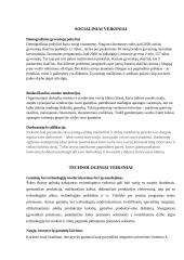 Pest analizė 3 puslapis