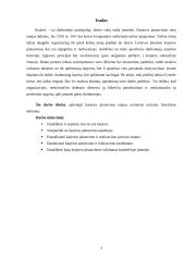 Karjeros planavimas UAB "Sodo namas" 3 puslapis