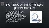 Elektros krūviai ir jų sąveika 9 puslapis