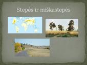 Azijos geografinės zonos 11 puslapis