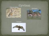 Azijos geografinės zonos 12 puslapis