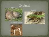 Azijos geografinės zonos 14 puslapis