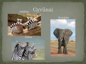 Azijos geografinės zonos 16 puslapis