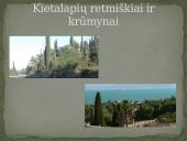 Azijos geografinės zonos 17 puslapis