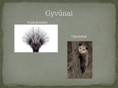 Azijos geografinės zonos 18 puslapis