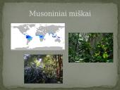 Azijos geografinės zonos 19 puslapis