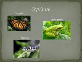 Azijos geografinės zonos 20 puslapis