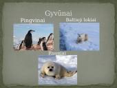 Azijos geografinės zonos 4 puslapis