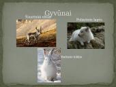 Azijos geografinės zonos 6 puslapis