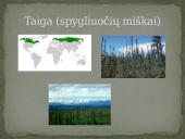 Azijos geografinės zonos 7 puslapis