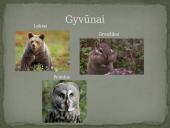 Azijos geografinės zonos 8 puslapis