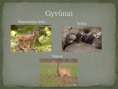 Azijos geografinės zonos 10 puslapis