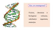 Fiziniai mutagenai 2 puslapis