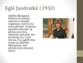 Stereotipai ir literatūra 13 puslapis