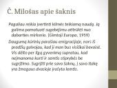 Stereotipai ir literatūra 18 puslapis