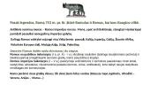 Senovės Romos meno apžvalga 2 puslapis
