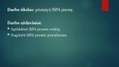 Logistikos įmonės pristatymas "Baltic Port Agency" 2 puslapis