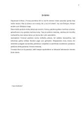 Kelionė Į Veroną 2 puslapis