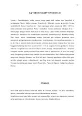 Kelionė Į Veroną 11 puslapis