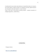 Kelionė Į Veroną 12 puslapis