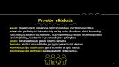 Technologinio projekto pristatymas  14 puslapis