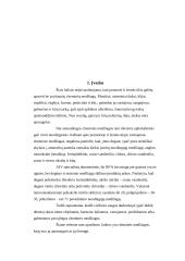 Kenksmingos medžiagos 2 puslapis