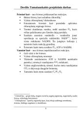 Fotosintezė. Projektinis darbas 4 puslapis