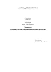 Technologijos: stalinė lempa 2 puslapis