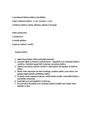 Technologijos: stalinė lempa 11 puslapis