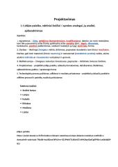 Technologijos: stalinė lempa 4 puslapis