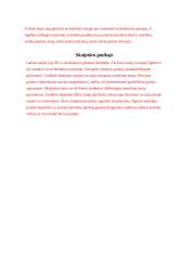 Gotikos menas, architektūra 3 puslapis