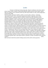 Įmonių vadovų darbo santykių ypatumai 2 puslapis