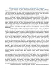 Įmonių vadovų darbo santykių ypatumai 5 puslapis