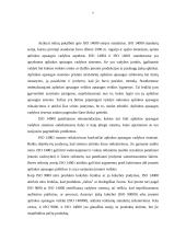 Kokybės programa, standartai ir kaštų klasifikacija 7 puslapis