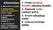 Gramatinių formų taisyklingas vartojimas 11 puslapis