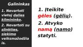 Gramatinių formų taisyklingas vartojimas 13 puslapis