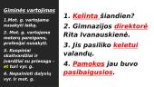 Gramatinių formų taisyklingas vartojimas 3 puslapis