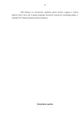 Kokybės valdymo sistemos transporto įmonėse 13 puslapis