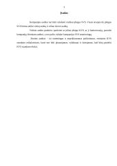 Kokybės valdymo sistemos transporto įmonėse 3 puslapis