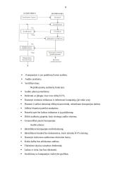 Kokybės valdymo sistemos transporto įmonėse 8 puslapis