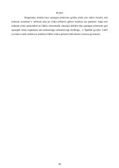 Kolektyvinės apsaugos priemonės 12 puslapis