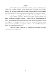 Kolektyvinės apsaugos priemonės 3 puslapis