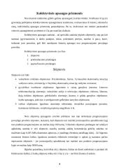 Kolektyvinės apsaugos priemonės 4 puslapis