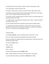 Adomo Mickevičiaus knygos "Vėlinės" nagrinėjimas 8 puslapis