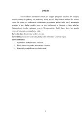 Komercinių bankų raida ir kūrimasis Lietuvoje 2 puslapis