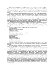 Kompiuteriai ir kompiuterinės kultūros 4 puslapis