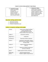 Dujų apykaita plaučiuose ir audiniuose 3 puslapis