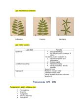 Dujų apykaita plaučiuose ir audiniuose 5 puslapis