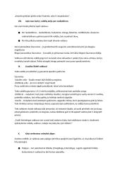 Makiavelio ,,Valdovas" analizė 13 puslapis